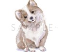 ＳＮＳアイコンや個人使用でのグッズに向いています ほんわかな雰囲気の動物(ペット)をカラーイラストで♪ イメージ9