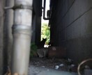 Lightroomでエモい写真編集できます SNSのアイコンや背景画、投稿画像にこだわりたい方は是非！ イメージ9