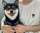 うちの子グッズ・T-shirt ペット 作成します ペットの写真を 油絵風のモノクロ画に加工してプリント♪ イメージ6