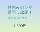 夏休みの英語の家庭学習サポートします 早稲田出身講師が丁寧に教えます！ イメージ1