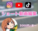 SNS縦型ショート動画編集します TikTok、YouTube、Instagram イメージ1