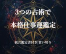 仕事運と天職を3つの東洋占術で本格鑑定します 四柱推命・算命学・九星気学でキャリアを深く読み解く イメージ1