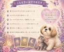 アニマルタロットでわが子の気持ちを読み解きます カードを使って愛するわが子からのメッセージをお伝えします イメージ6