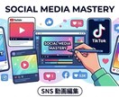 あなたの動画お試しで編集します お試しであなたの動画を編集させてくれませんか？ イメージ1