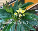 誰かと話したい時や悩みごとがあるとき、お話聞きます １分でも(^^)お話ししませんか☆ イメージ1