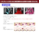 最短当日！IRIAM対応◎悪役令嬢イラスト描きます 配信にも！3種ドレスから選べる◎キャラを即納でお書きします イメージ3