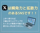 X(Twitter)1ヶ月運用サポートします 現役プロSNSマーケターがアカウントの成長をサポート！ イメージ4