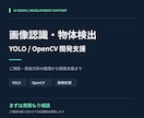 AI画像認識・YOLOの開発をサポートします 画像検査・物体検出の相談から実装・動作確認まで イメージ1