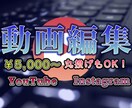 YouTube等SNS用の動画編集代行いたします 編集からアップロードまで(ご希望があれば)代行します！ イメージ1