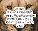 ネット販促にも使えるデザインチラシ承ります 操作が苦手な方もわかりやすくご案内 イメージ2