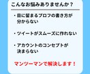 Twitter運用のアドバイスします 初心者でも安心！一週間マンツーマンで応援します イメージ2