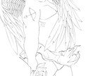 オリキャラ線画イラスト承ります クールでかっこいいキャラクター線画を描きます。 イメージ4