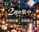 2週間集中でご縁を深く読み解き特別祈願を行います 週1回×2回｜特別深層読解と縁糸結び祈願でご縁の変化を見守る イメージ1