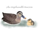 水彩風イラストやマスコット風イラストが描けます あなたの大切な家族や好きな動物をふんわりイラスト化！ イメージ9