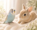 ペットロス☁️忘れられない大切な子のお話聞きます ペットロス/涙/後悔/感謝/寂しい/会いたい イメージ3