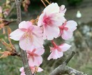 だれかに話したいとき聞きます 友達と思ってお気軽になーんでもお話してください^_^ イメージ1