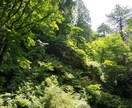 私の【直感】で伝えます〜軽い気持ちver.〜 イメージ1