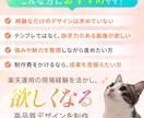 先着2社様★楽天経験者が商品画像制作します 今だけ1枚3,000円【成果へ繋ぐ】SEOも可能★丸投げOK イメージ2