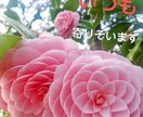 押し潰されそうな気持ち♡まるごと優しく受け止めます どうしよう！❣️適応障害　パニック　　責任感　不安　繊細敏感 イメージ3
