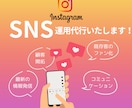 Instagram運用代行します サポート終了後も継続運用できるマニュアル作成します イメージ1