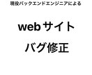 webサイトのバグを現役エンジニアが即日修正します サイト修正に高額な費用を払う必要はありません。 イメージ1