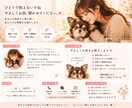 おはなし話したい時に気軽にどうぞ｜愚痴聞きます どんな話しでも大丈夫貴方の心に寄り添います イメージ2