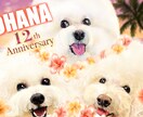 想いを乗せたイラストを描きます 飼い主さまの愛情をヒアリングし、イラストに生かします。 イメージ3