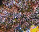 お話相手になり、あなたの心を癒します 全部きいてほしい！を実現します♪お話相手になります♪ イメージ1