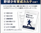 野球少年の伸ばし方を分析します 野球少年の強み・課題・練習を見える化 イメージ2