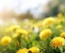 当日～翌日返信　霊感タロット✨で悩みを解決します 質問２つ　“働く”に悩む今だからカードと一緒に整えませんか？ イメージ3