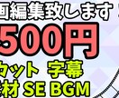 軽めの動画編集をさせて頂きます 動画を編集して欲しいけれどそこまでこだわらない人向け イメージ1