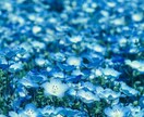 脳炎、記憶喪失、てんかんの辛さお聞きします 私はこういう事を体験した。逆に私が体験した事をお教えします。 イメージ3