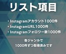 35ジャンル｜Instagramリストを提供します インスタアカウントの営業リスト｜35ジャンル・各1000件 イメージ2