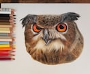 色鉛筆画(キャラクター、動物、風景）を描きます 120色の色鉛筆を駆使して描きます。 イメージ4