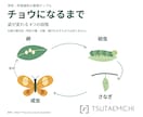 複雑な情報を整理し伝わる一枚資料にまとめます 読む人の疑問に合わせ、文章と図解で分かりやすく構成します イメージ7