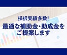 あなたに最適な補助金・助成金を診断します 採択実績多数！最新の補助金知識と実務経験に基づくプロの診断！ イメージ1
