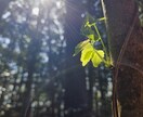 今あなたのSNSにツッコミいれます あなたのポストにめっちゃツッコミ！コメントします！ イメージ1