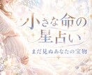 お腹の赤ちゃんについて鑑定します 赤ちゃんの事をもっと知りたい｜明るく妊娠生活を過ごしたい方へ イメージ1