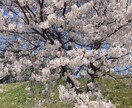1分からでもOK～♬あなたのお話しお聞きします 今すぐ話したいお悩みや愚痴何でもお話下さい✩.*˚ イメージ4