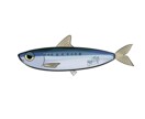 魚や水の生き物イラスト描きます アイコンやサムネに！最短2日で納品可能 イメージ4