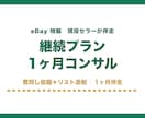 継続プラン 1ヶ月間みっちりコンサルいたします コンサルの継続プランとなります。 イメージ1