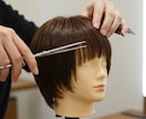 髪型、ウィッグのお悩み相談をうけます 美容師・理容師免許あり／ウィッグアドバイザー歴13年 イメージ5