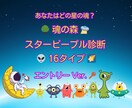 魂の森スターピープル診断　エントリーします 初めての方におすすめの体験価格 イメージ1