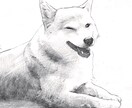 ペットの鉛筆画風の似顔絵CGイラスト作成します やわらかいタッチのおしゃれなモノクロ鉛筆画風のイラスト イメージ1