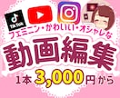 発信がんばり続けてるあなたの代わりに動画編集します 可愛い世界観Vlog・インスタ・youtube・TikTok イメージ1