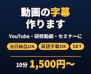 当日可！動画の字幕（SRT）ファイルを作ります YouTube・研修動画に｜日本語・英語字幕に対応 イメージ1
