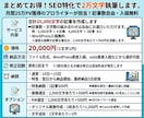 まとめてお得！SEO特化で2万文字執筆します 月間25万PVのプロライターが担当！記事数自由・入稿無料※1 イメージ8