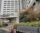 ビザ・在留資格変更許可申請書の作成を代行致します 【日本全国申請代行】在留申請オンラインシステム承認済行政書士 イメージ2