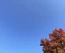 秋の風景写真、5枚→10枚提供します 加工、商用利用OK！各種静止画投稿・動画の背景に使えます イメージ4