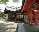 あなたに代わっておみくじ引きます 大阪の住吉大社にておみくじ占い☆&オラクルカード占い付き☆ イメージ2